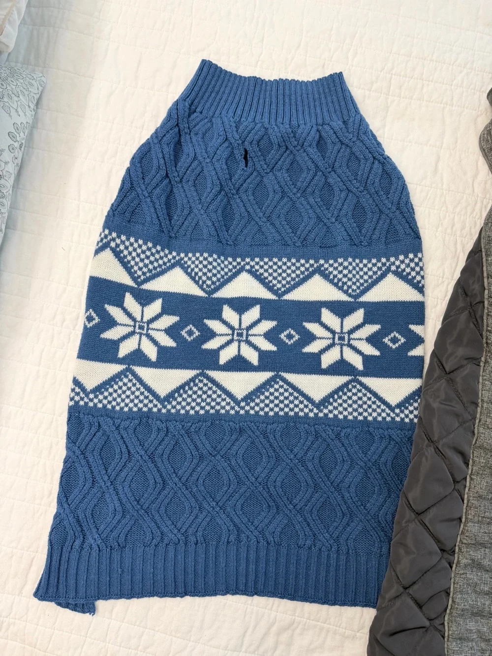 Eddie Bauer winter dog